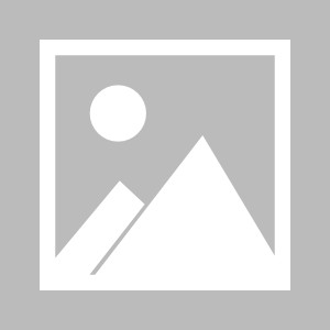 世界杯客户端安装包-【中国足球非官方发言人】京津德比菜鸡互啄